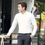 dịch vụ diệt mối