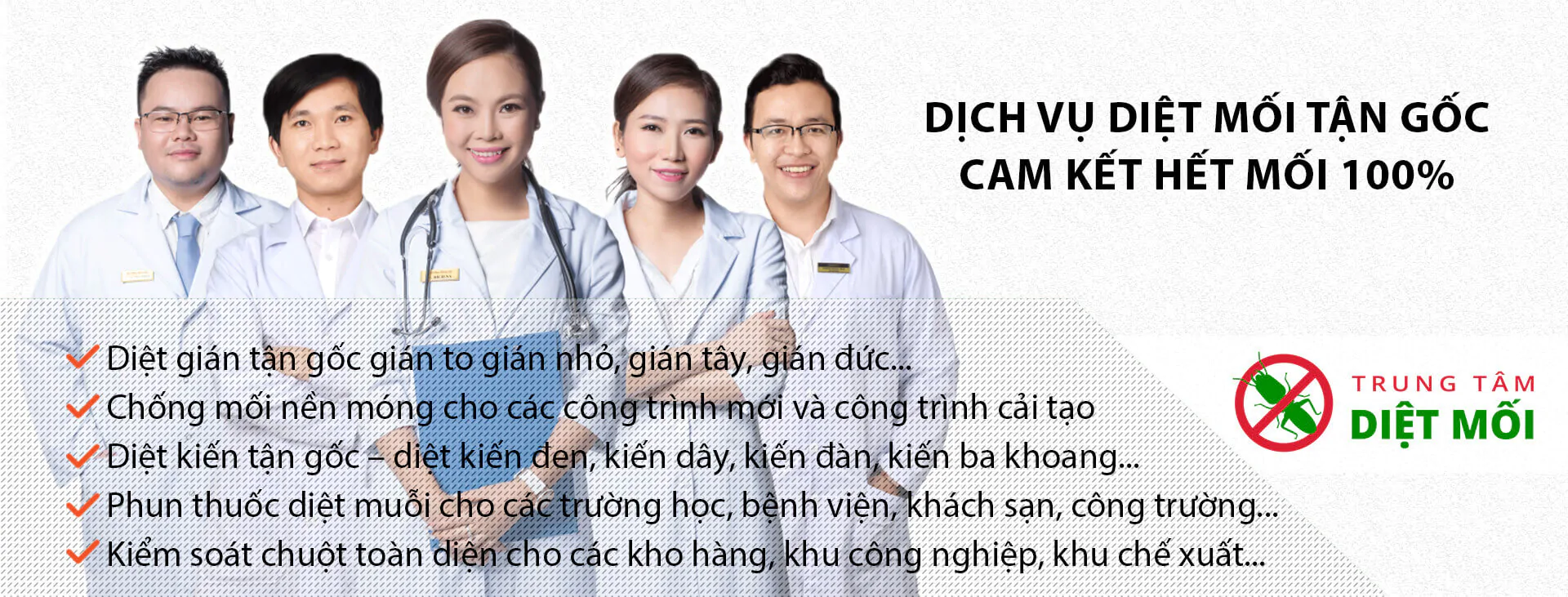 dịch vụ diệt mối