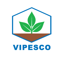 thuốc muối vipesco