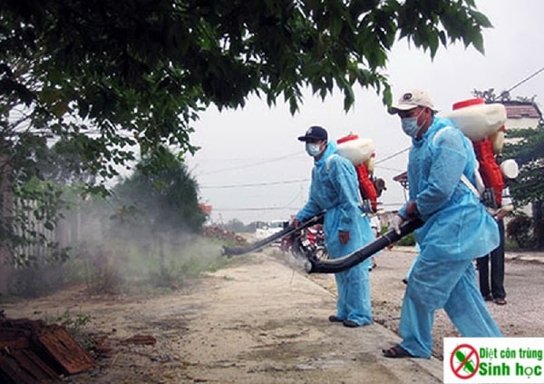 Thuốc diệt muỗi