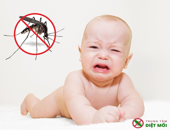 cách phòng chống muỗi cho bé