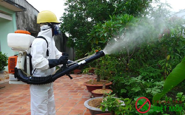 Dịch vụ phun thuốc diệt muỗi tại nhà