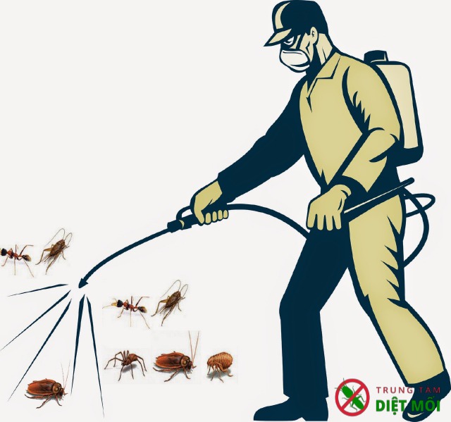 Dịch vụ diệt côn trùng tận gốc