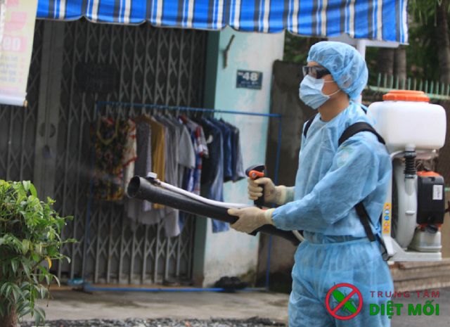 diệt mối côn trùng tại Đồng Nai