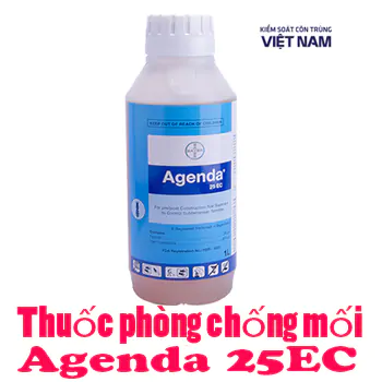 thuoc diet moi