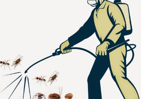 Dịch vụ diệt côn trùng