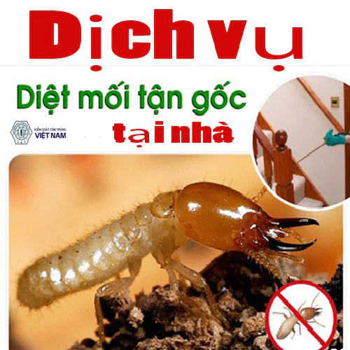 Diệt mối tại quận ba đình