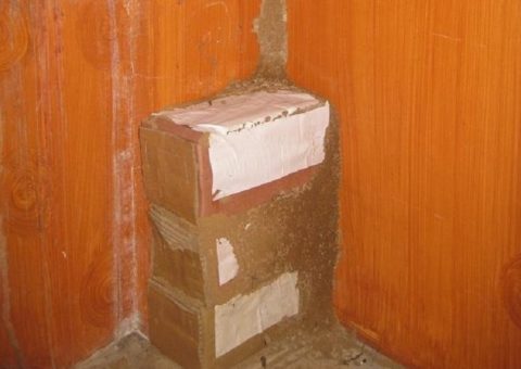 Hộp nhử mối giá tốt chất lượng