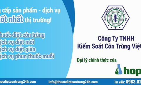 dịch vụ phòng chống mối