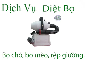 Dịch vụ phun thuốc diệt rệp gường