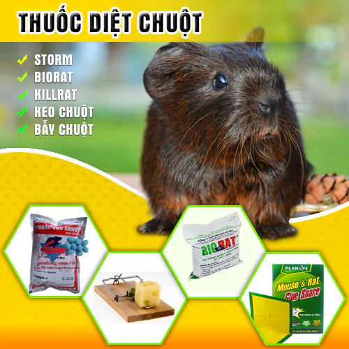 thuốc diệt chuột
