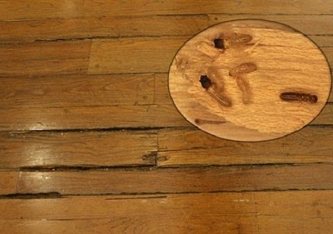 diệt mối cho sàn gỗ