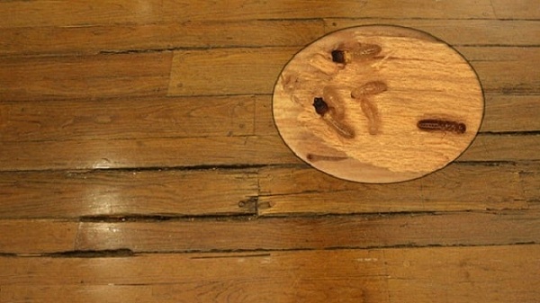 diệt mối cho sàn gỗ