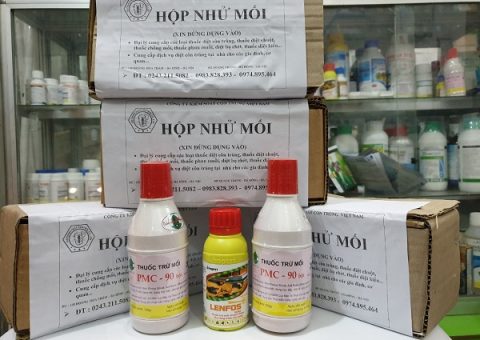 thuốc diệt mối có độc hại không