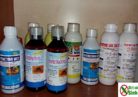 thuốc xịt muỗi có hại cho bà bầu không