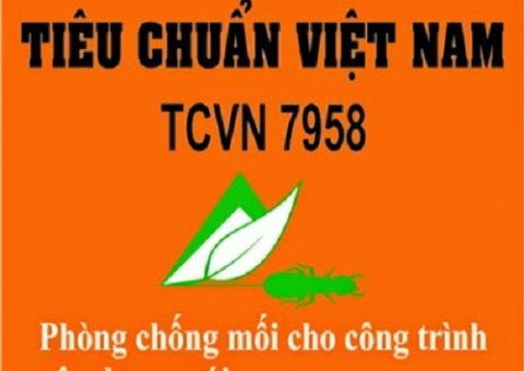 quy định về chống mối cho công trình
