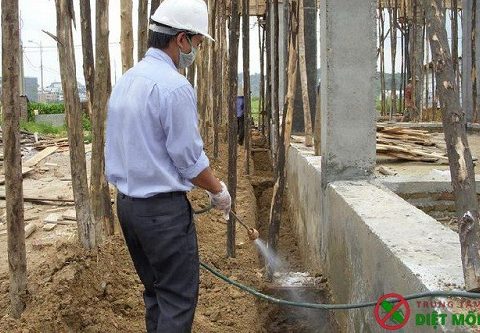 thuốc diệt mối công trình xây dựng