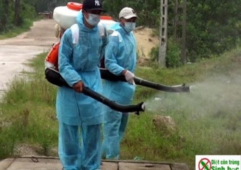 dịch vụ phun diệt muỗi tại Hà Đông