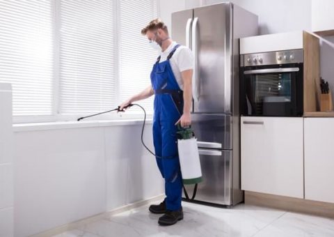 dịch vụ phun khử trùng Cloramin B tại nhà