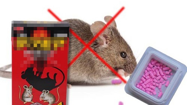 cách diệt chuột ăn rau