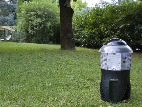 cách diệt muỗi ngoài vườn