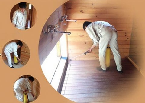 diệt mối tại Hà Nam