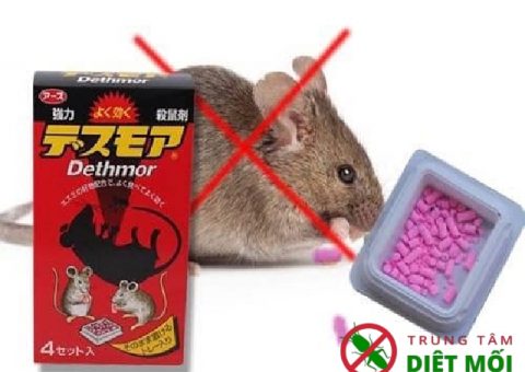 kẹo diệt chuột có tốt không
