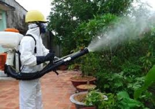 Nếu cần thiết hãy liên hệ trung tâm diệt côn trùng để phun thuốc muỗi cho an toàn, hiệu quả.