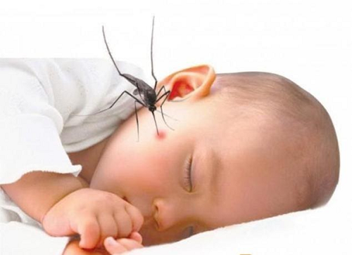 cách đuổi muỗi trong phòng trẻ sơ sinh