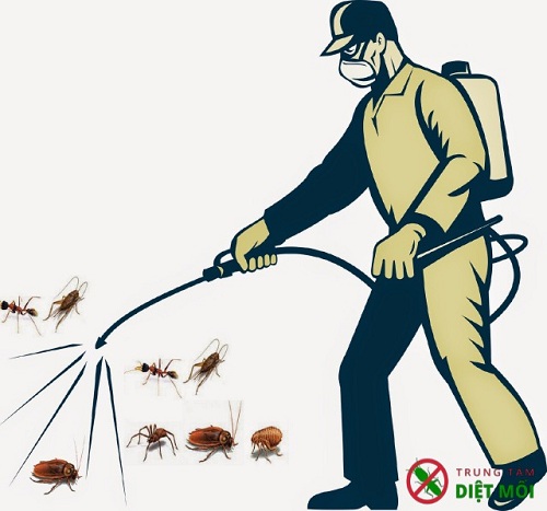 lưu ý khi sử dụng thuốc diệt côn trùng