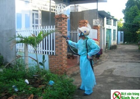 phun thuốc diệt muỗi giúp phòng ngừa bệnh sốt xuất huyết