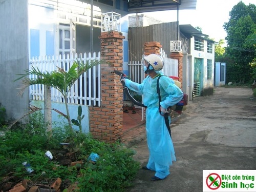 phun thuốc diệt muỗi giúp phòng ngừa bệnh sốt xuất huyết