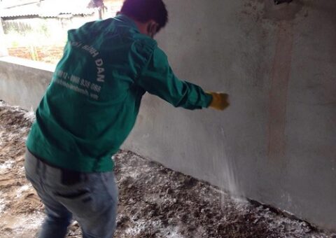 Sử dụng thuốc chống mối nền móng ngay từ đầu giúp bạn tiết kiệm rất nhiều chi phí và thời gian