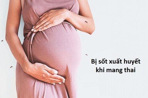 đang mang thai bị sốt xuất huyết