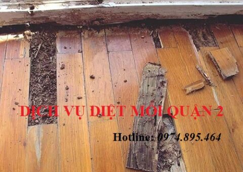 Dịch vụ diệt mối Quận 2 uy tín