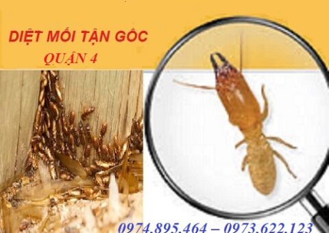 Địa chỉ diệt mối Quận 4