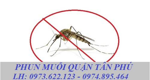 Dịch vụ phun muỗi Quận Tân Phú