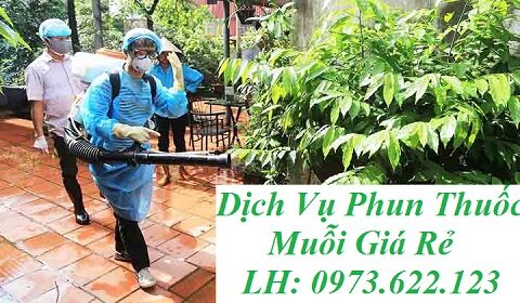 Dịch vụ phun thuốc diệt muỗi Quận Bình Thạnh