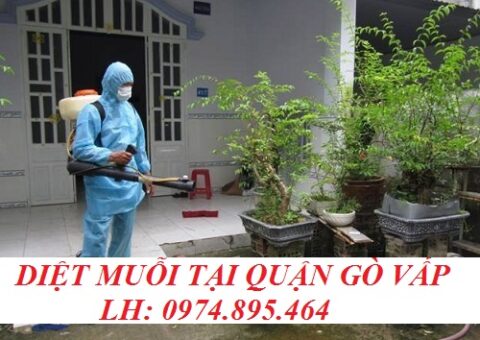 Đơn vị phun thuốc muỗi tại Quận Gò Vấp