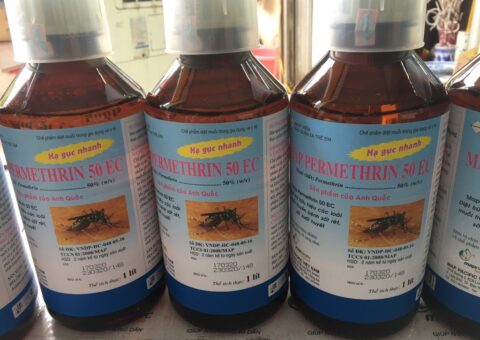 Thuốc diệt muỗi permethrin 50EC