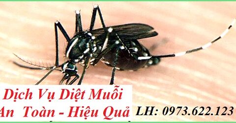 Phun thuốc diệt muỗi tại Quận 7