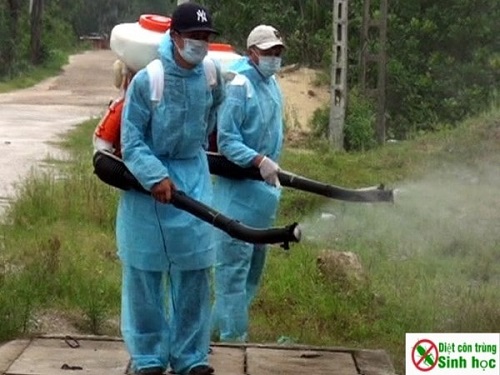 Dịch vụ phun thuốc muỗi cần được thực hiện bởi những người có kinh nghiệm 
