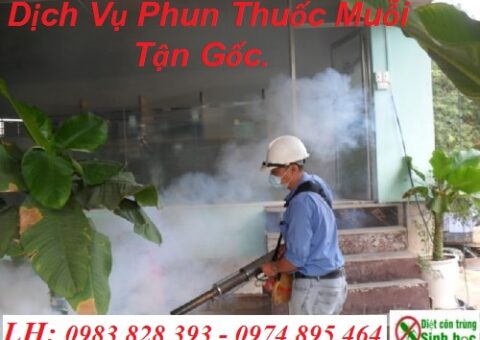 Địa chỉ phun thuốc muỗi Quận 2