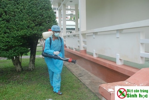 Sử dụng phương pháp phun tồn lưu và phun thuốc không gian để tiêu diệt muỗi triệt để