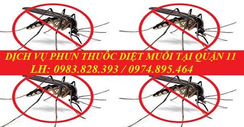 3 địa chỉ phun thuốc muỗi tại Quận 11