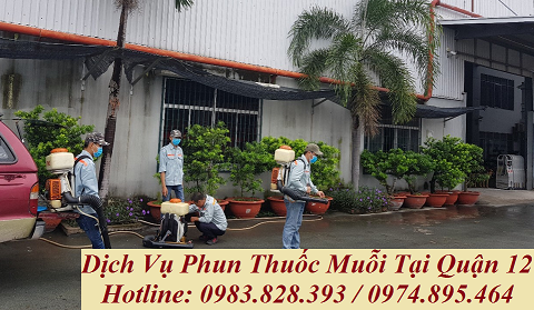 3 địa chỉ phun thuốc muỗi tại Quận 12.