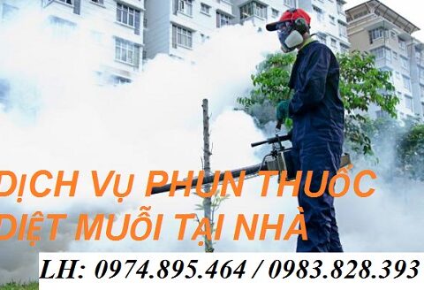 Địa chỉ phun thuốc muỗi quận 5 uy tín, giá rẻ