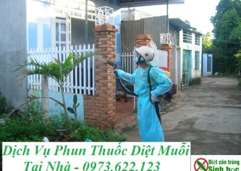 Công ty phun thuốc muỗi tại Quận Bình Chánh