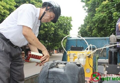 cách pha thuốc diệt muỗi