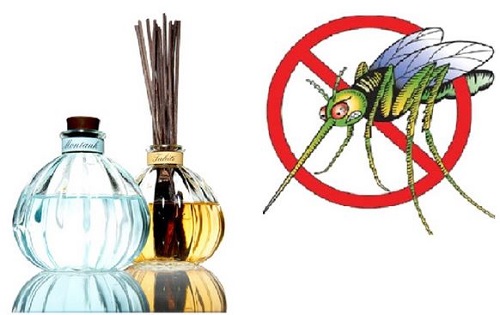 cách đuổi muỗi phòng chống sốt xuất huyết